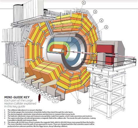 lhc meaning